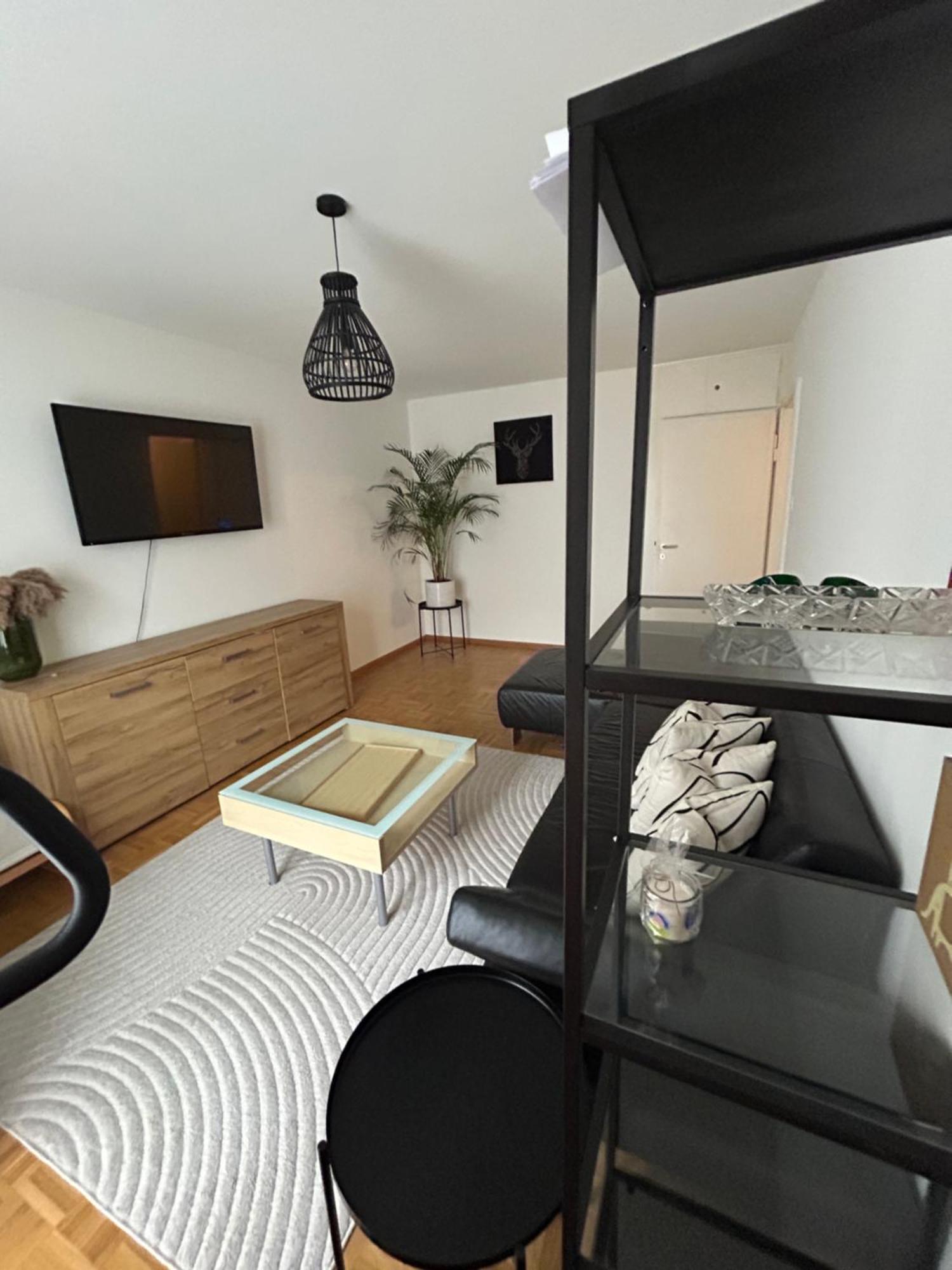 Gemuetliche In Basel, Nahe Am Rhein Apartment Basel